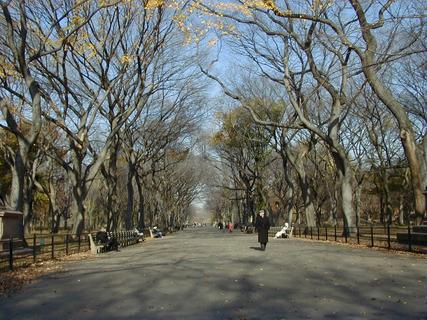 The Mall in Central Park<br>Location: <a href="https://www.google.com/maps/search/?api=1&query=40.77,-73.97252" target="_new">The Mall, Central Park</a>